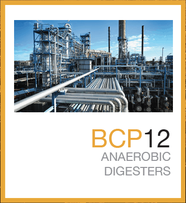 BCP12™