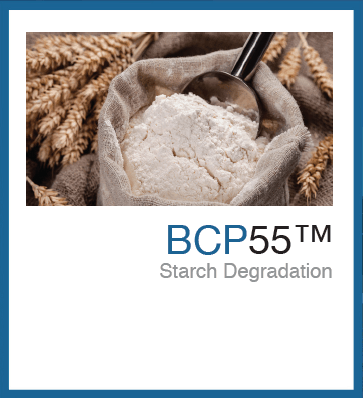 BCP55™