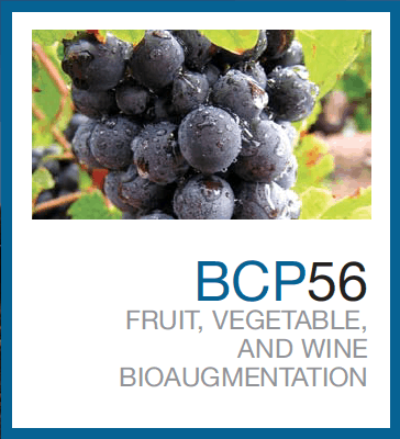 BCP56™