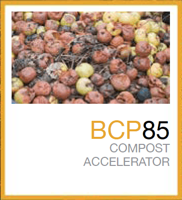 BCP85™