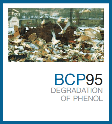 BCP95™