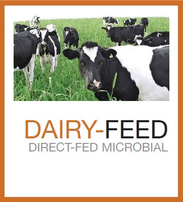 DAIRY-FEED™