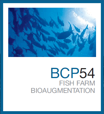 BCP54™