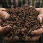 closeup hand of person holding abundance soil for agriculture or planting peach.